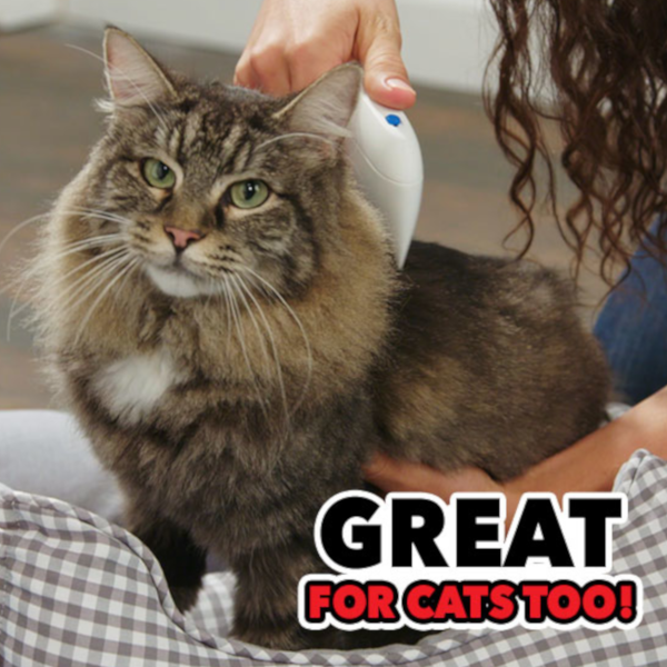 Find, Kill & Remove Pesky Fleas In Minutes-Imported from the United States-Flea Doctor™