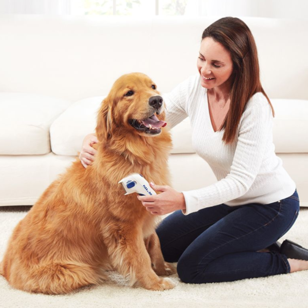 Find, Kill & Remove Pesky Fleas In Minutes-Imported from the United States-Flea Doctor™